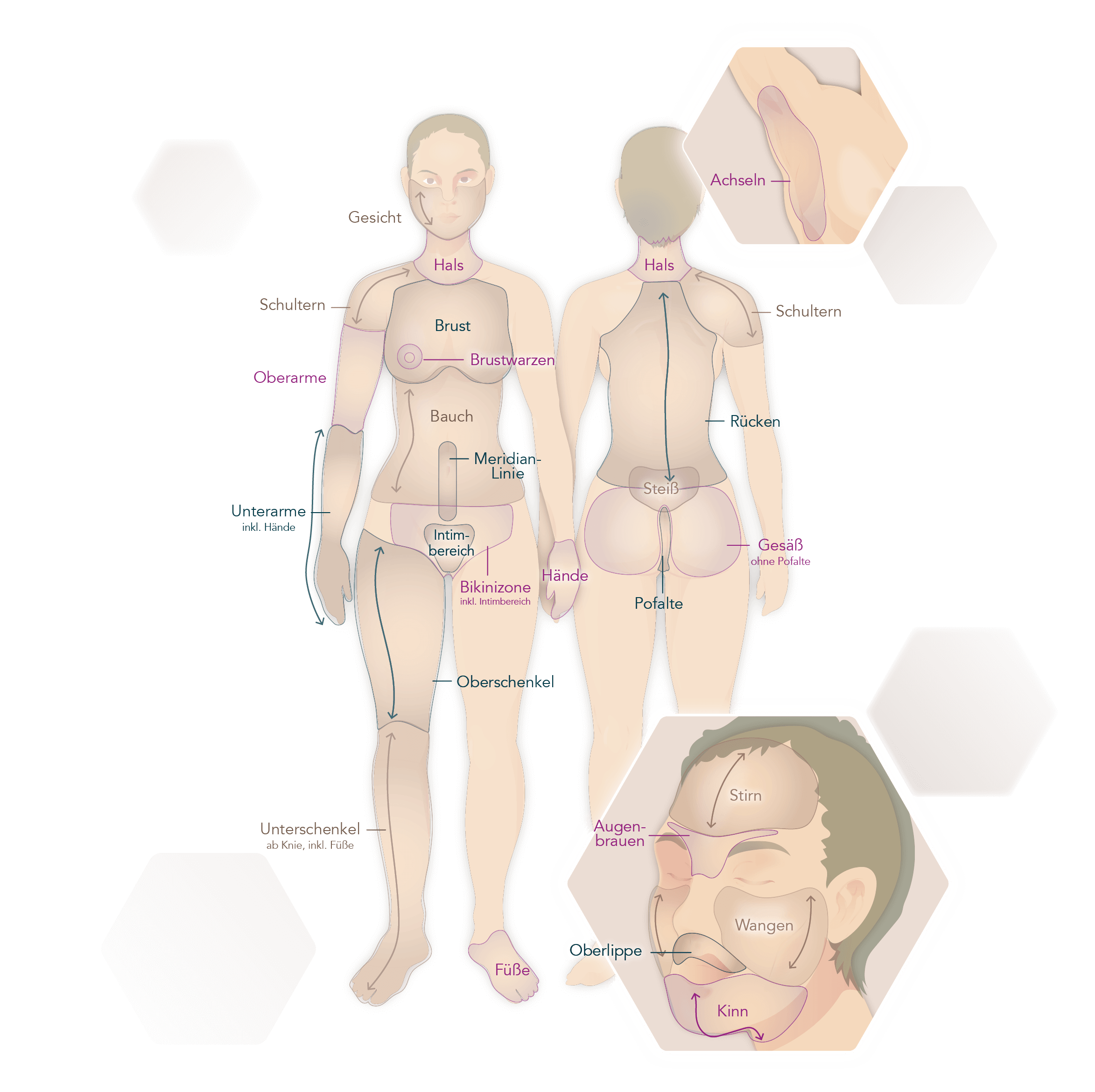 Infografik Körperregionen und Behandlungszonen
